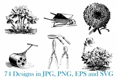 74 Woodcut Vintage Floral and Garden Illustration Collection Product Image 12