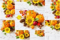 Autumn, fall, Thanksgiving concept bundle 8 stock photos. Product Image 1
