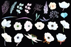 Watercolor white flowers clipart Product Image 2
