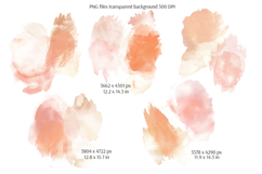 Everbloom Floral Clipart and Patterns Product Image 8