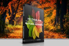 200 AUTUMN DIGITAL PHOTOSHOP OVERLAYS, BACKDROPS BACKGROUNDS Product Image 1