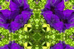 12 abstract Seamless colorful FLOWER patterns pack. Product Image 11