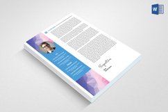 Professional CV Product Image 6