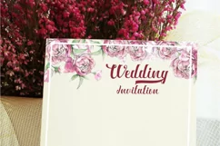 Ardina Script - Free Font of The Week Product Image 4