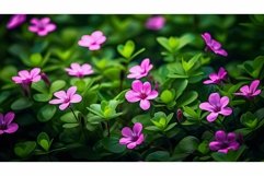vibrant small pink flowers Product Image 1
