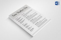 Ready 3-Piece Resume/CV Set Product Image 4