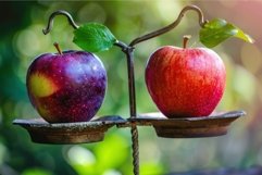 Balanced apples on vintage scales in nature Product Image 1