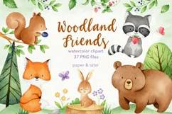 Watercolor Woodland Animals Clipart Graphics Product Image 1