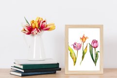 Tulips for Love Watercolor png Product Image 4