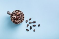 Whole cacao beans on blue top view with copyspace Product Image 1