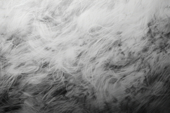 Grey Fur Texture Background Wallpaper Product Image 1
