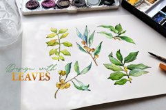 Watercolor Green Elaeagnus PNG Product Image 2