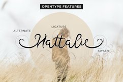 Hallo Betty Product Image 8