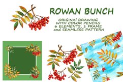 rowan bunch clipart set, frame and pattern Product Image 1
