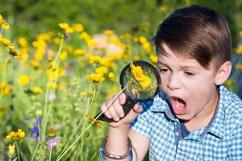 Boy with magnifying glass in summer garden Product Image 1