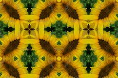 12 abstract Seamless colorful FLOWER patterns pack. Product Image 2