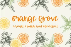 Orange Grove Script - Free Font of The Week Product Image 1