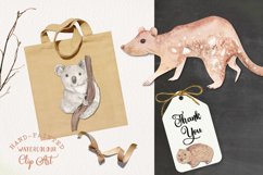 Australian Animals Watercolors Clipart Elements Kangaroo Product Image 3