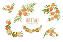 Peaches Greenery Watercolour, Peaches Clipart Product Image 4