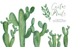 Watercolor Cactus Plant Clipart Set Product Image 2