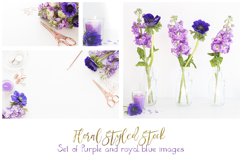 Rose gold with royal blue anamones and purple hyacinths styled desktop bundle of 5 images Product Image 1