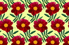 12 Seamless colorful FLOWER patterns bundle. Digital Paper Product Image 11
