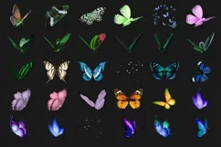 200 BUTTERFLIES TRANSPARENT PNG FILES, PHOTOSHOP OVERLAYS Product Image 6