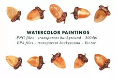 Watercolor Acorn Illustrations Clip Art in PNG & Vect Product Image 2