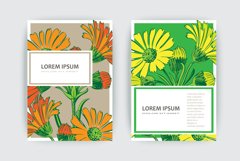 Hand drawn closeup natural Chrysanthemum flower artistic Product Image 1