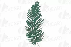 Cotton bolls and fir branch leafy autumn and winter decor Product Image 6