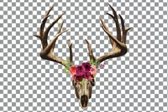 Floral Deer Skull watercolor clip art, Indian Tribal skull Product Image 2