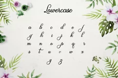 Olivia Script - Font Download Product Image 2