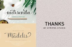 Fonts Bundle Product Image 4