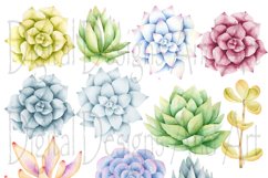 Watercolor succulent clipart Product Image 2