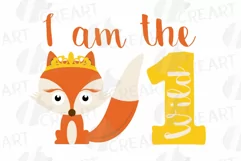 Wild One baby fox t-shirt graphic, family birthday svg files Product Image 5