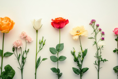 Garden Roses Background Wallpaper Product Image 1