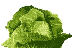 set of icons fresh vegetables vector illustration Product Image 2