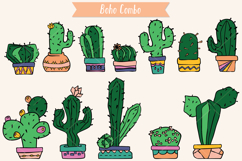 Color Cactus in Flower Pot | Succulent, Tropical House Plant Product Image 2