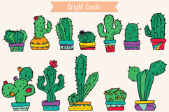 Color Cactus in Flower Pot | Succulent, Tropical House Plant Product Image 3