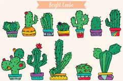 Color Cactus in Flower Pot | Succulent, Tropical House Plant Product Image 3