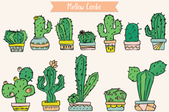 Color Cactus in Flower Pot | Succulent, Tropical House Plant Product Image 4