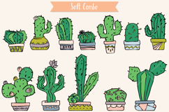 Color Cactus in Flower Pot | Succulent, Tropical House Plant Product Image 5