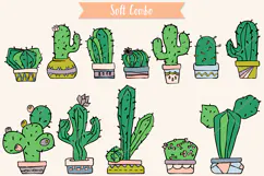 Color Cactus in Flower Pot | Succulent, Tropical House Plant Product Image 5