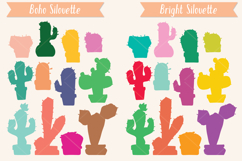 Color Cactus in Flower Pot | Succulent, Tropical House Plant Product Image 6