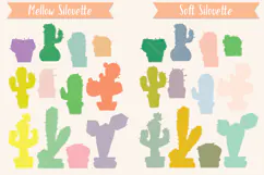 Color Cactus in Flower Pot | Succulent, Tropical House Plant Product Image 7
