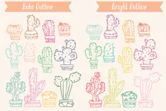 Color Cactus in Flower Pot | Succulent, Tropical House Plant Product Image 8