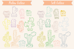 Color Cactus in Flower Pot | Succulent, Tropical House Plant Product Image 9