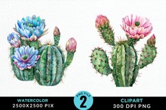 Watercolor Cactus Flower PNG Set Clipart Product Image 1