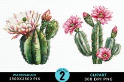 Watercolor Cactus Flower PNG Set Clipart Product Image 1