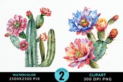 Watercolor Cactus Flower PNG Set Clipart Product Image 1